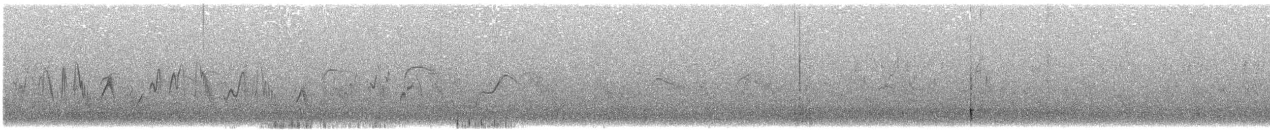 bělořit okrový - ML642906636
