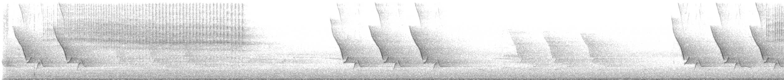 チャバラマユミソサザイ - ML642907337