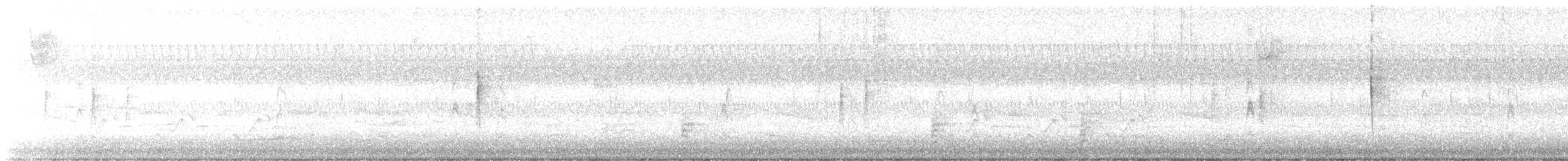 gråbrynspurv - ML642907667