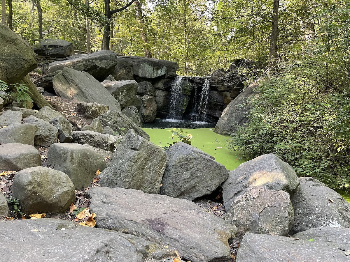 Central Park--The Ravine (incl. The Loch) - New York, New York, US ...