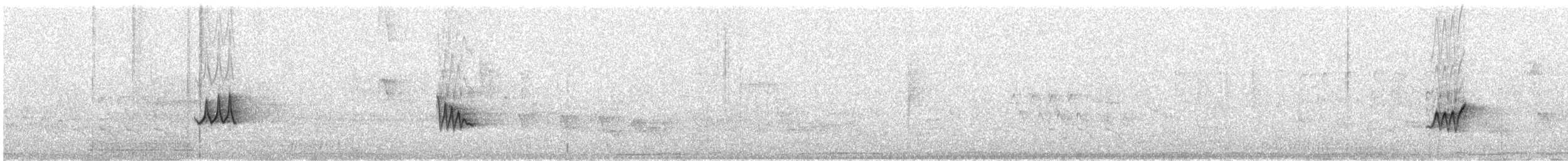 Chivi Vireo - ML642909728