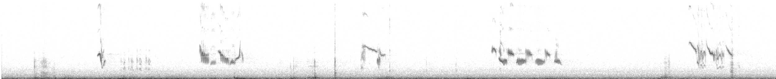 Variable Wheatear - ML642911125