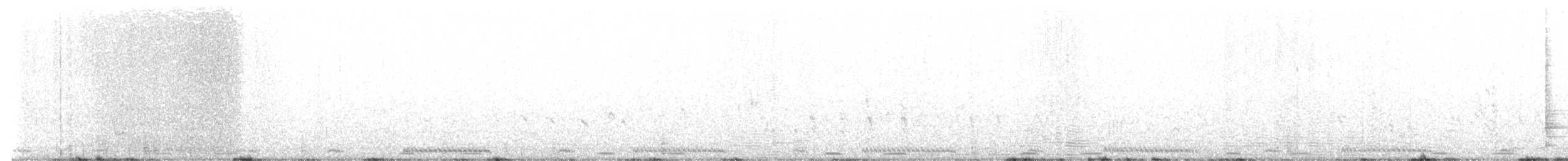 African Cuckoo - ML642911275