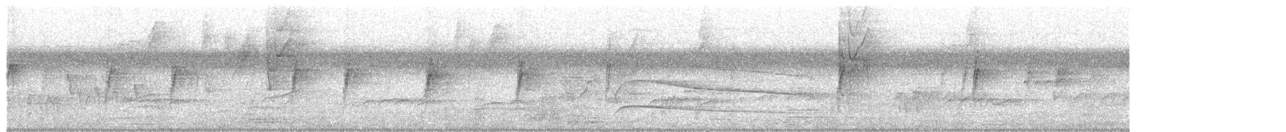 Short-tailed Hawk - ML642913789