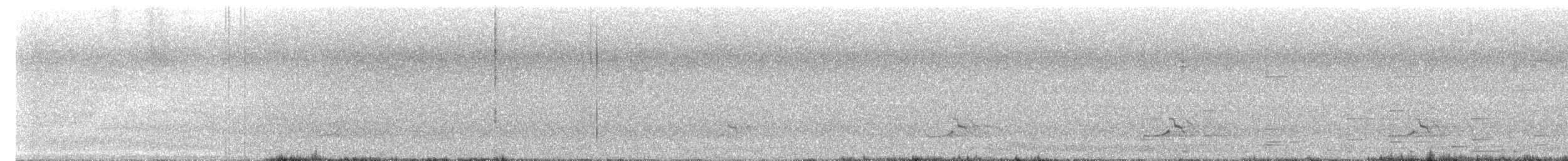 Colino della Virginia - ML642914048