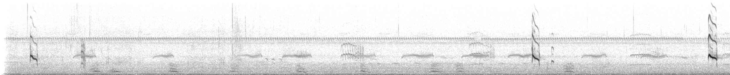Lesser Yellowlegs - ML642914118