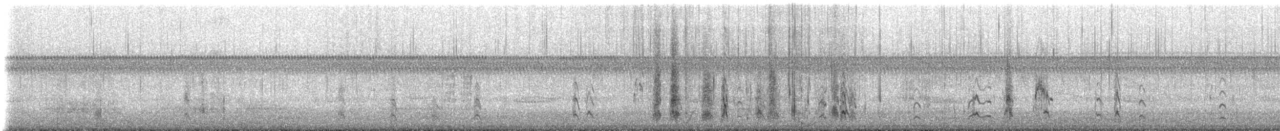 Short-billed Dowitcher - ML642914135