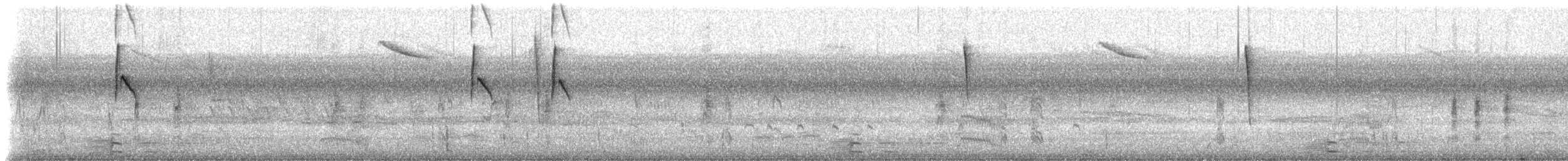 tyran obecný - ML642914168