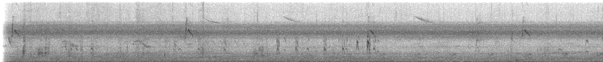 Semipalmated Sandpiper - ML642914170