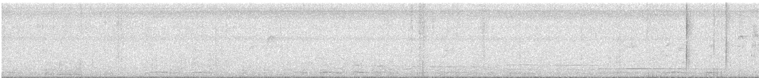 Social Flycatcher - ML642914173