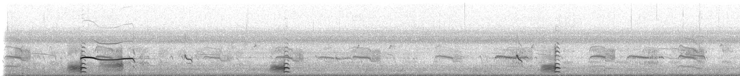 Black-bellied Plover - ML642914184