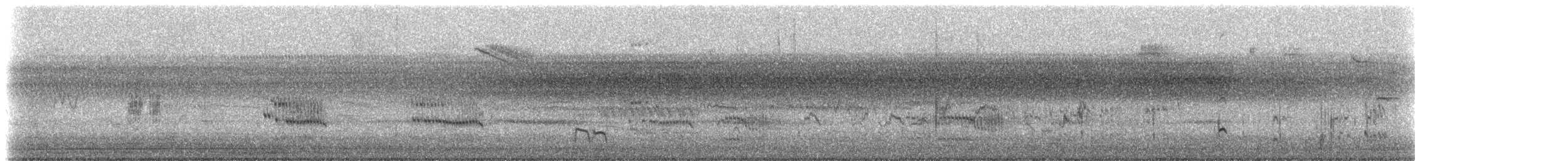 shorebird sp. - ML642914257