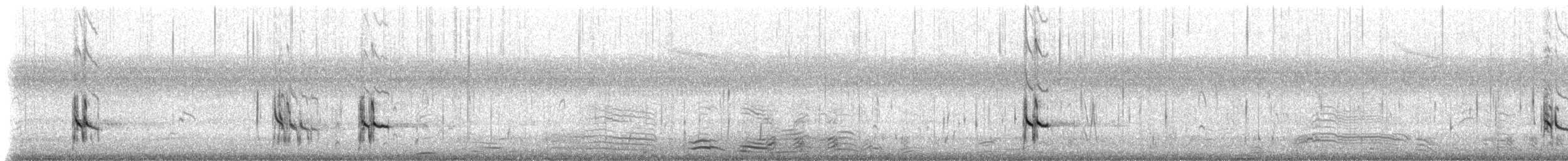 Short-billed Dowitcher - ML642914311