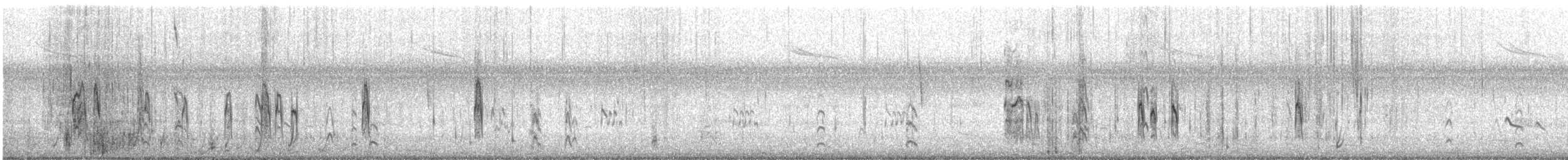 Semipalmated Sandpiper - ML642914323