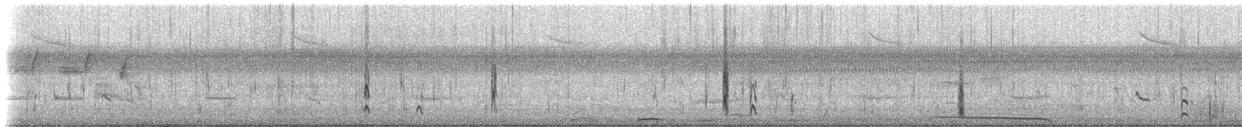 Semipalmated Sandpiper - ML642914324