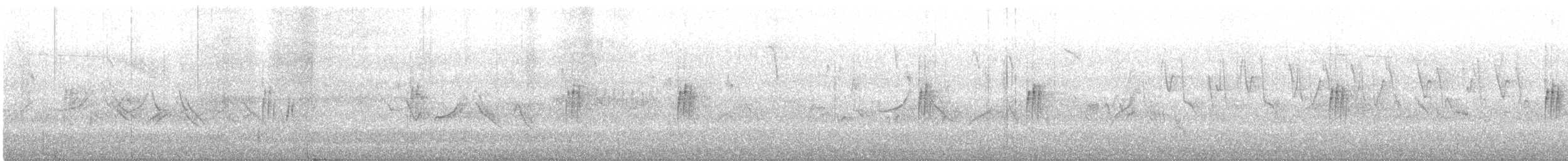 ニシイワツバメ（urbicum／meridionale） - ML642916703