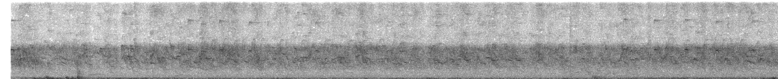 majna obecná - ML642917498