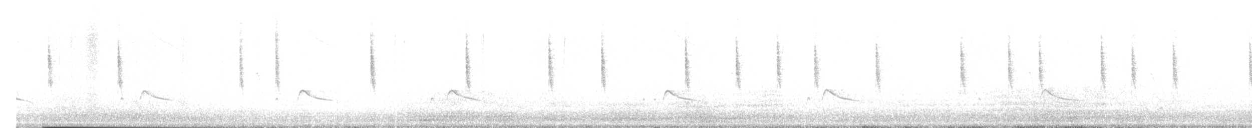 Say's Phoebe - ML642918741