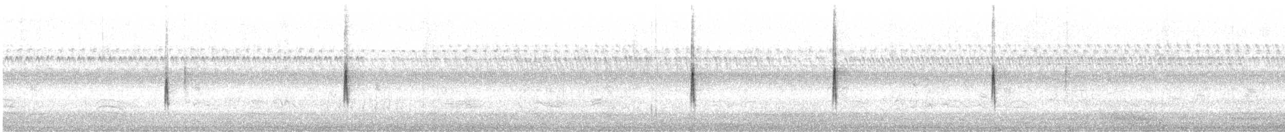 Yellow-rumped Warbler - ML642918956