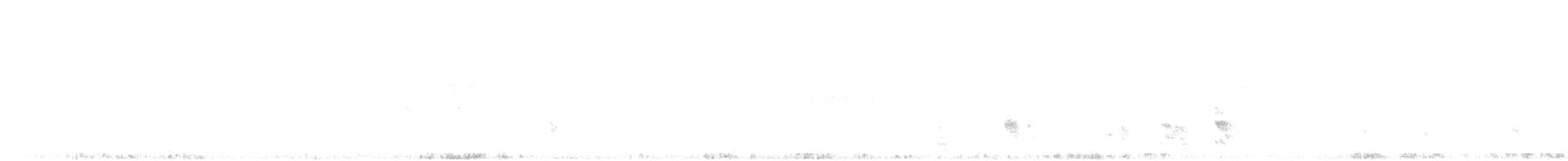 rehek domácí - ML642919164