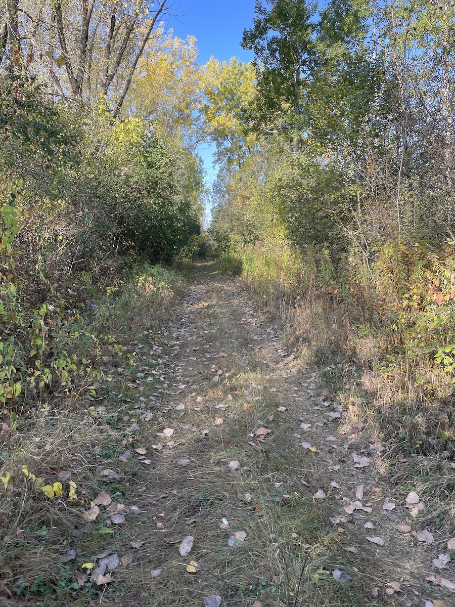 null - ML642921495
