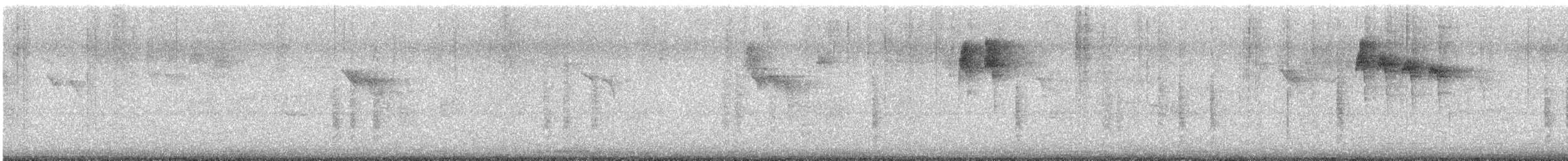 Northern House Wren - ML642921548