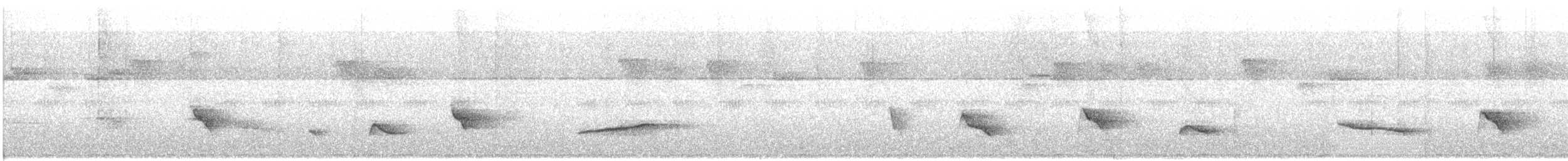 Horsfield's Babbler - ML642921876