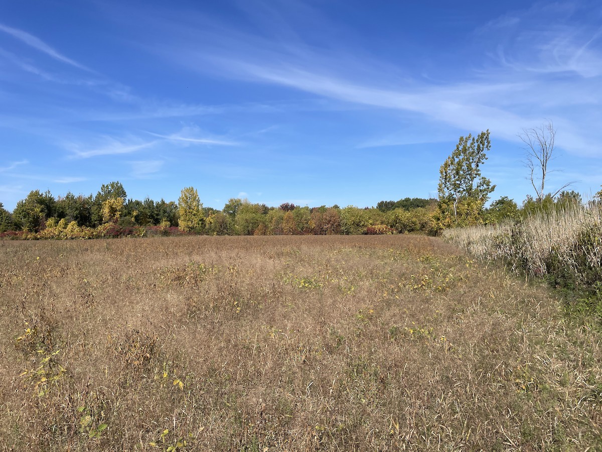 null - ML642921904