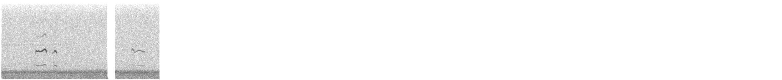Killdeer - ML642923392
