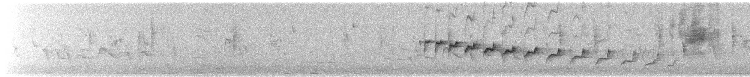 Canyon Wren - ML642923736