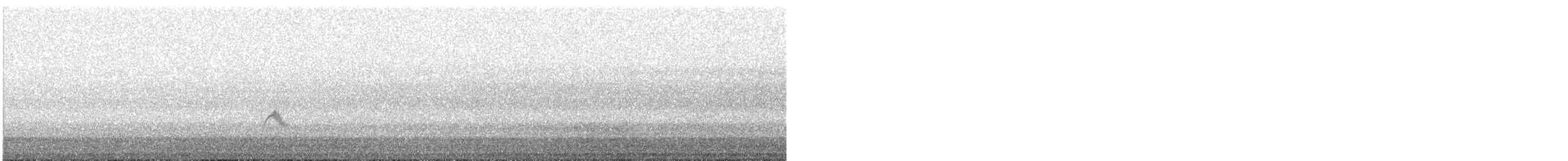 קיכלי Catharus בלתי-מזוהה - ML642923968