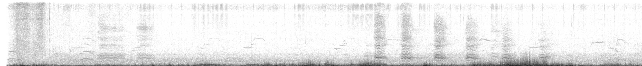 שחף מערבי - ML642924067