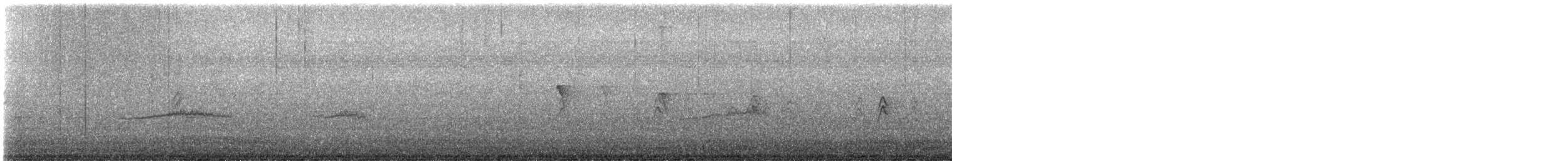 Western Wood-Pewee - ML642924803