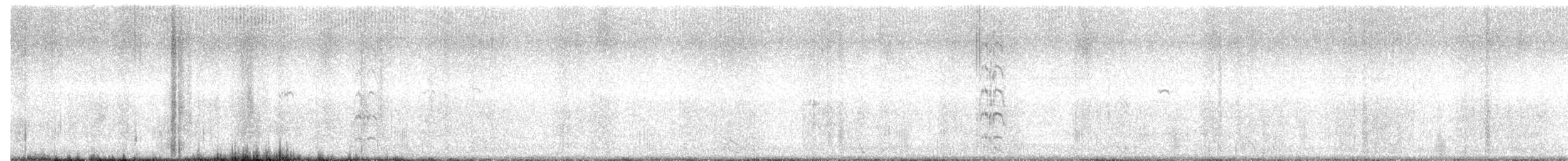 サンドイッチアジサシ - ML642926915