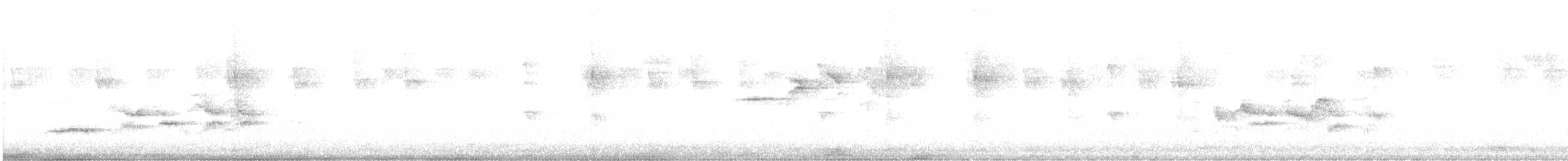 Hermit Thrush - ML642927231