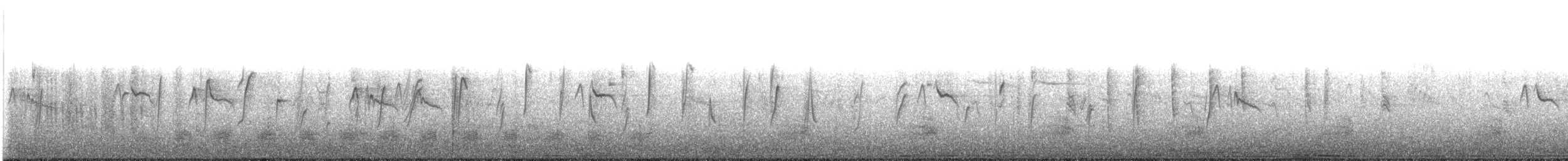 Dominikanerwitwe - ML642928183