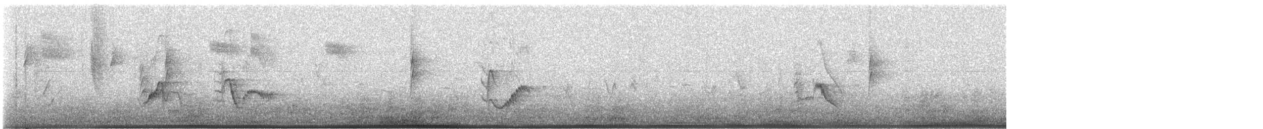 Plumbeous Vireo - ML642928396