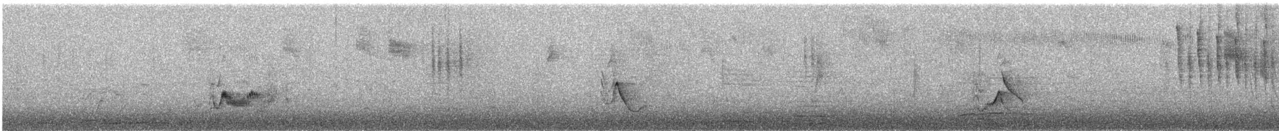 Plumbeous Vireo - ML642928398