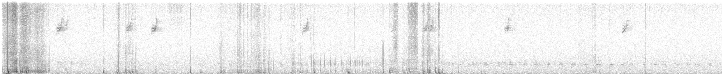 White-crowned Sparrow - ML642929056