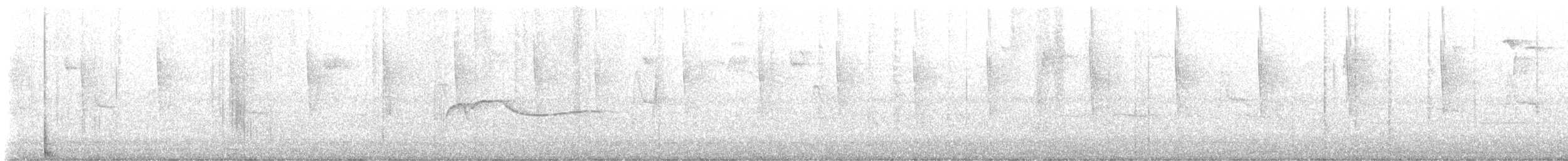 חטפית זעירה - ML642929584