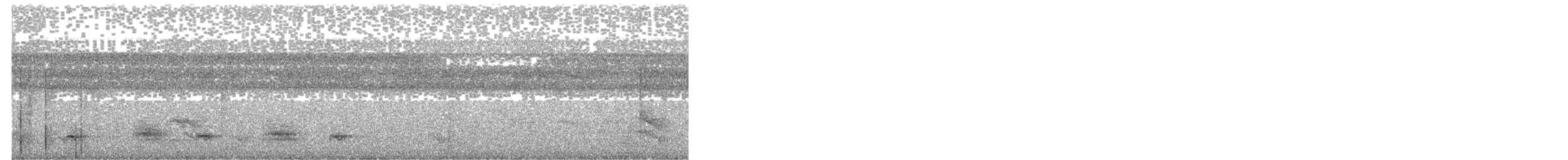 Grisin ardoisé - ML642930121