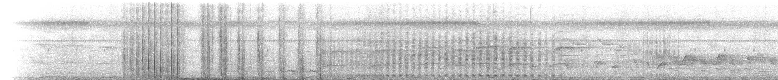 Bar-shouldered Dove - ML642930422