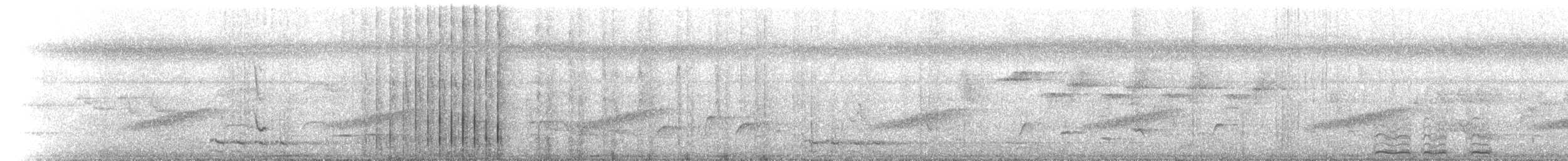 Bar-shouldered Dove - ML642930426