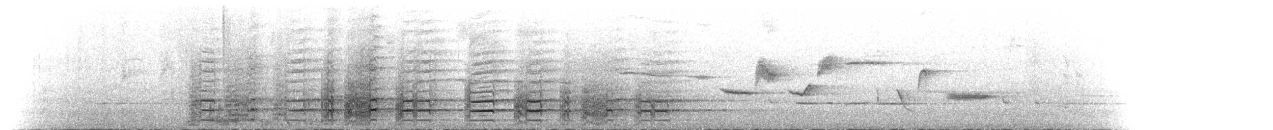 Black Currawong - ML642931288