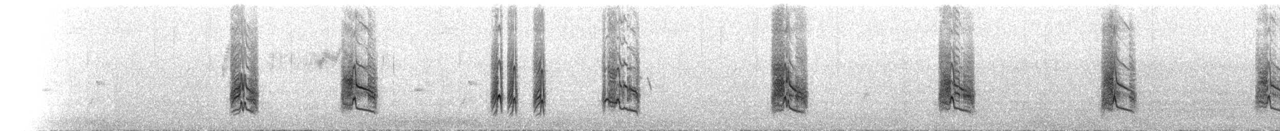 Black-faced Cuckooshrike - ML642931432