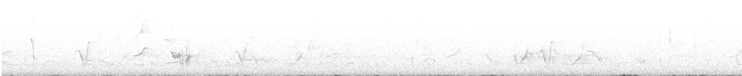 Rufous Whistler - ML642931814
