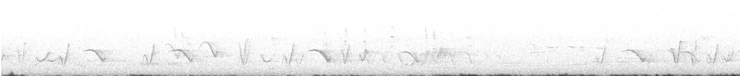 Rufous Whistler - ML642931914