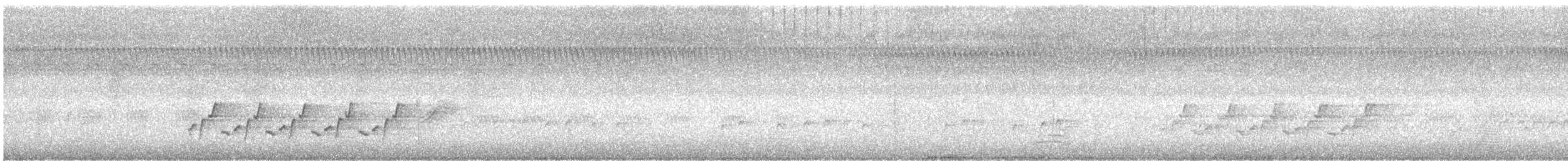 チャバラマユミソサザイ - ML642932162