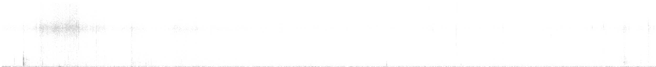 Barred Owl - ML642932534
