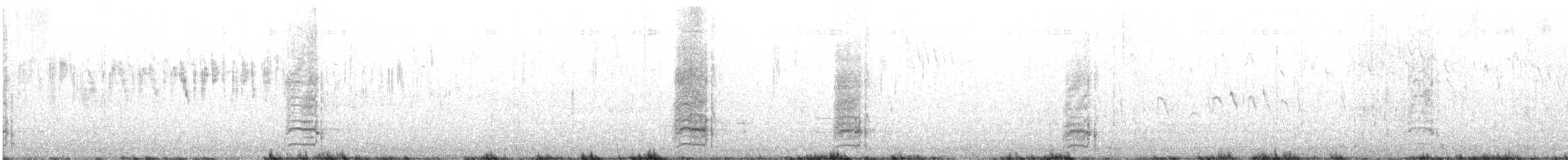 raroh proměnlivý - ML642932566